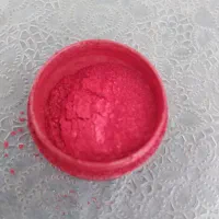 مگنت یخچال رزینی شبتاب