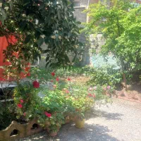 اجاره‌ روزانه