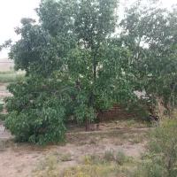 فروش خانه ویلایی روستای لایجند خوانسار