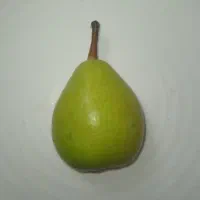 گلابی|خوردنی و آشامیدنی|کومله, |دیوار