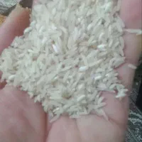 برنج درجه یک دست ایرانی