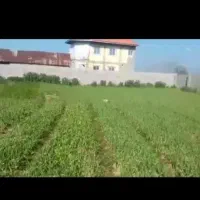 زمین مسکونی|فروش زمین و ملک کلنگی|فومن, |دیوار