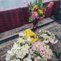 گلهاتمیزوسالم