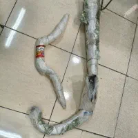 اونجر ۲۲۰ کاستوم،هارلی،c2کویرموتورسیکلت بندا رگال|موتورسیکلت|تهران, گمرک|دیوار