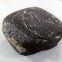 سنگ فسیل کله مار