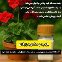 بازدید و مشاوره رایگان|خدمات باغبانی و درختکاری|دوگنبدان, |دیوار