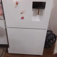یخچال دیپویت