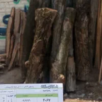 چوب گردو و چنار