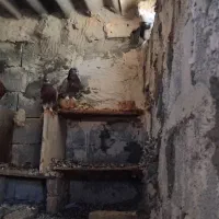 کبوتر