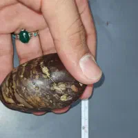 سنگ|کلکسیون اشیاء عتیقه|قیدار, |دیوار