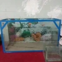 آکواریوم