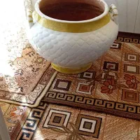 گلدون بزرگ|گل و گیاه طبیعی|ابهر, |دیوار