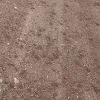 مشارکت در راه اندازی پرورش ماهی