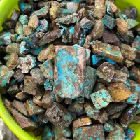 تیزبوری فیروزه نیشابوری