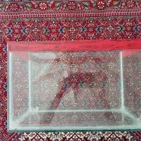 آکواریوم