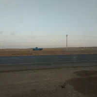 گوسفند گمشده در میدان یولاگلدی