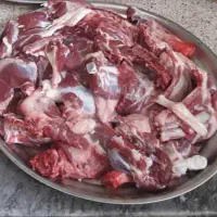 قصاب در محل،سلاخی،گوسفند زنده|حیوانات مزرعه|قم, نیروگاه|دیوار