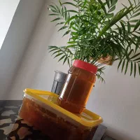 عسل با موم ، از دل کوهستان به سفره های پر مهر شما|خوردنی و آشامیدنی|شیراز, شهرک ولیعصر|دیوار
