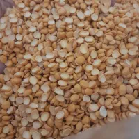 لوبیا خوش پخت|خوردنی و آشامیدنی|کوهدشت, |دیوار