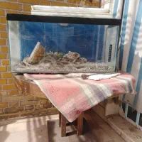 آکواریوم و میز گرد|ماهی|شیراز, شهرک جماران|دیوار