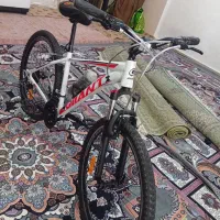 دوچرخه ویوا 27