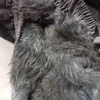 شلوار تو کرک موتورسوار|لباس|گلبهار, شهر جدید گلبهار|دیوار