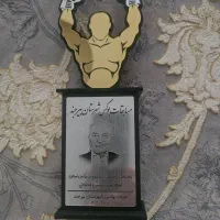 ساخت انواع تندیس|مجسمه، تندیس، ماکت|بیرجند, |دیوار