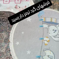 فرش ترمز دار