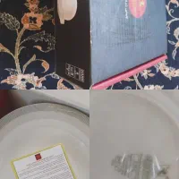 ظروف چینی زرین ایران