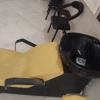 سرشور در حد نونو