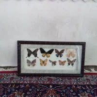 تابلو|تابلو، نقاشی، عکس|سهند, |دیوار