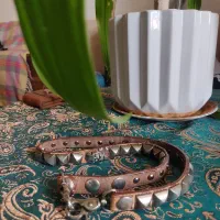 قلاده سگ چرم اصل