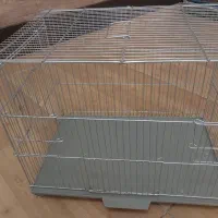 قفس پرنده|لوازم جانبی حیوانات|زنجان, |دیوار