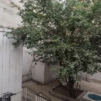 اجاره خانه دربستی دو و نیم طبقه|اجارهٔ خانه و ویلا|تهران, کوثر|دیوار