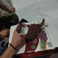 پشتدار|پرنده|اردبیل, |دیوار