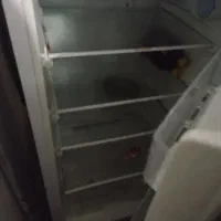 یخچال تمیز و درخد