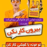 حرفه ای کار کن به درآمد برس خانم عزیز