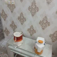 ابمیوه گیری AEG المان وپارس خزر