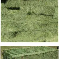 کاه پرس یونجه درجه یک