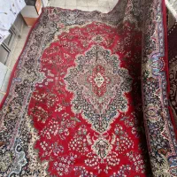 فرش ۱۲ متری|فرش|زنجان, |دیوار