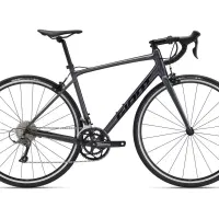 Giant Contend 2 2022 / کورسی جاینت