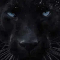 09353004000 09354003000