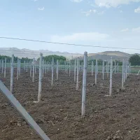 ///خدمات فنس کشی باغبانی دیوار کشی باغبانی|خدمات باغبانی و درختکاری|همدان, |دیوار