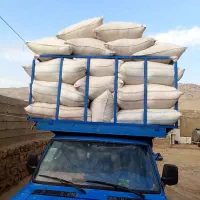 کاه گندم|حیوانات مزرعه|اهواز, امانیه|دیوار