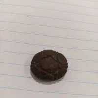 یشم وهبهاب|کلکسیون اشیاء عتیقه|قم, ولیعصر|دیوار