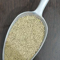 حبوبات فقط عمده به قیمت باور نکردنی ویژه مغازه ها