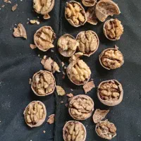 گردوی پوست گاغذی مغز سفید|خوردنی و آشامیدنی|شاهین دژ, |دیوار