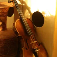 ویولن فونیکس MVZ301 E 4/4 (پایین ترین قیمت بازار)