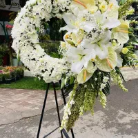 تاج گل مراسم ترحیم  و افتتاحیه قیمت منصفانه|گل و گیاه طبیعی|لاهیجان, امیرشهید|دیوار