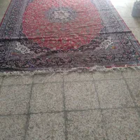 فرش|فرش|شیراز, اصلاحنژاد|دیوار